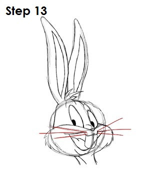 Draw Bugs Bunny Step 13