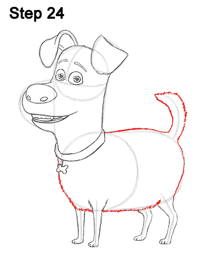 Draw Max Secret Life of Pets 24