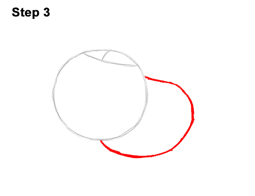 How to Draw Pumbaa Pumba Pig Warthog Lion King Disney 3