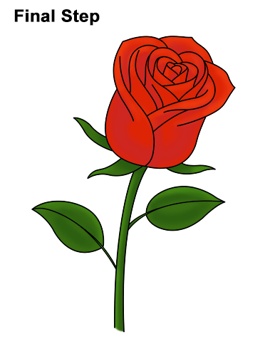 How to Draw Red Rose