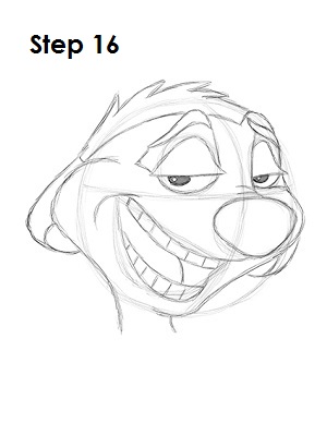 How to Draw Timon Step 16