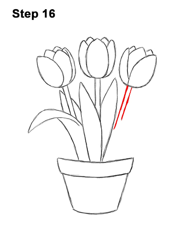 How to Draw Cartoon Pink Flowers Tulips 16