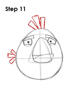 Draw White Angry Bird Step 11