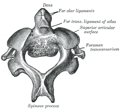 Axis